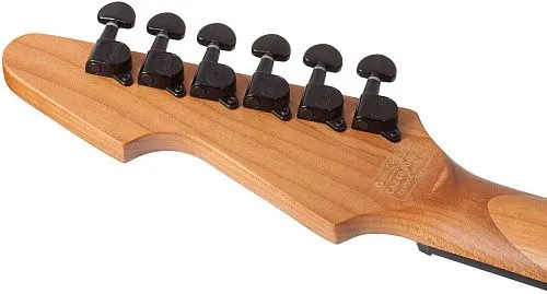 Schecter Avenger Standard CS Электрогитара.